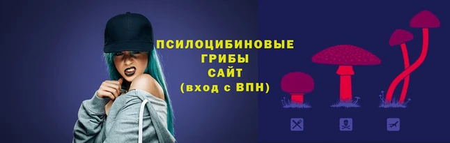 apvp Алексеевка